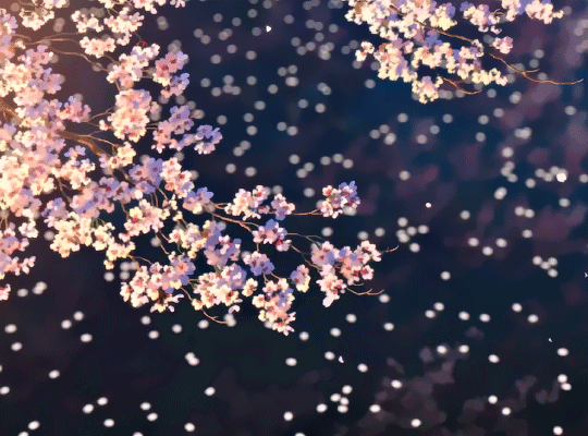 cherry blossom banner - Discord Banner | Free Banner Download 512x512