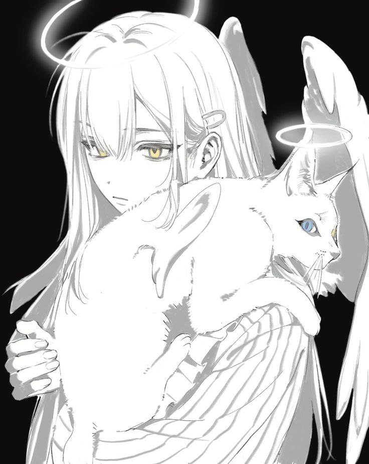 ɪᴄᴏɴ + ʙᴀɴɴᴇʀ (ᴄᴀᴛ & ɢɪʀʟ) - Discord Profile Picture | Free PFP Download