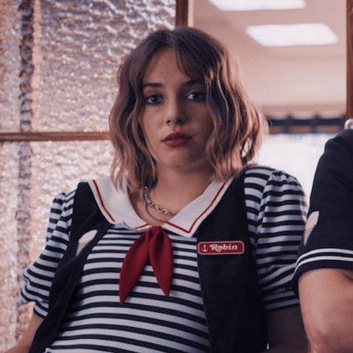 Steve and Robin matching icon - Discord Profile Picture | Free PFP Download