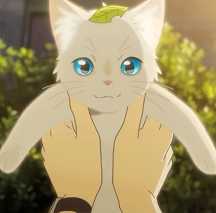 🌿✨Tarou (Miyo) icon🌿✨