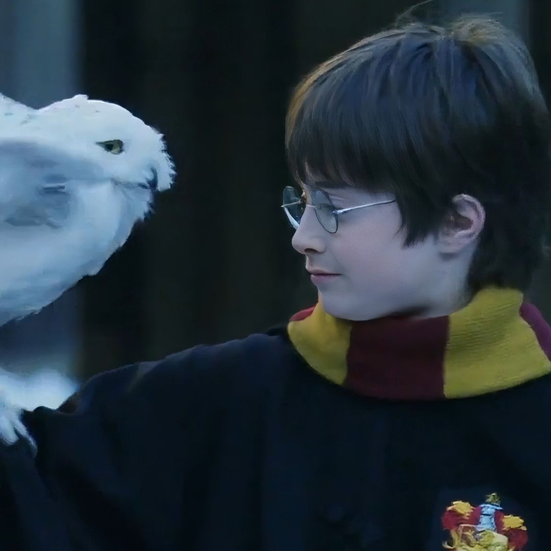 Harry Potter - Discord Profile Picture | Free PFP Download
