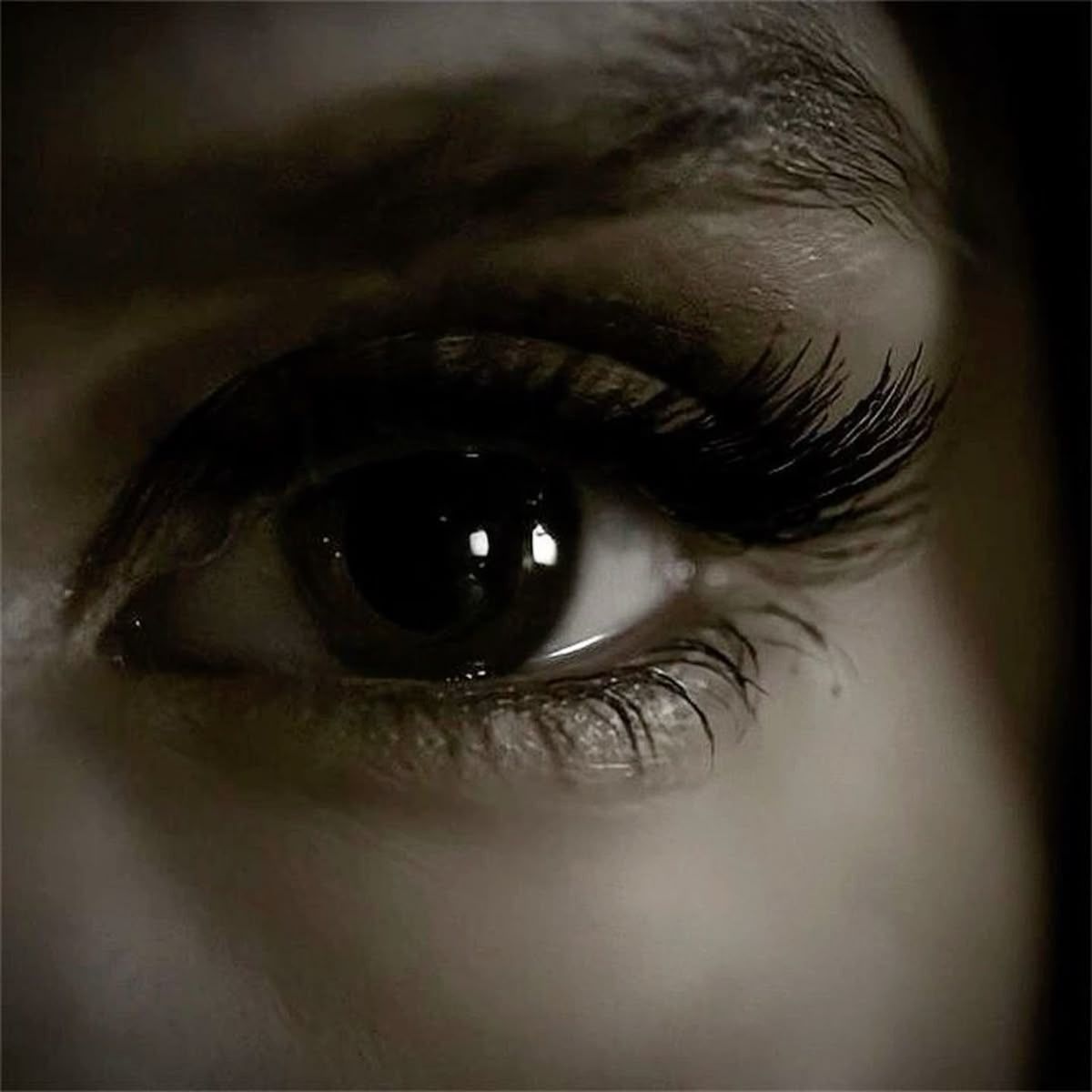 TVD - Discord Profile Picture | Free PFP Download