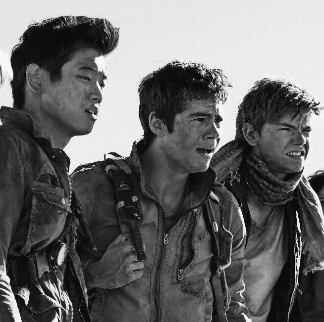 The Maze Runner —  - Discord Profile Picture | Free PFP Download